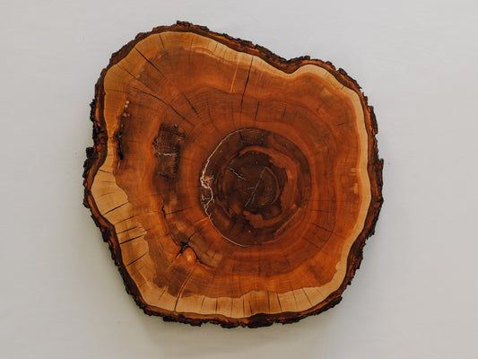 Beistelltisch - Felsenkirsche